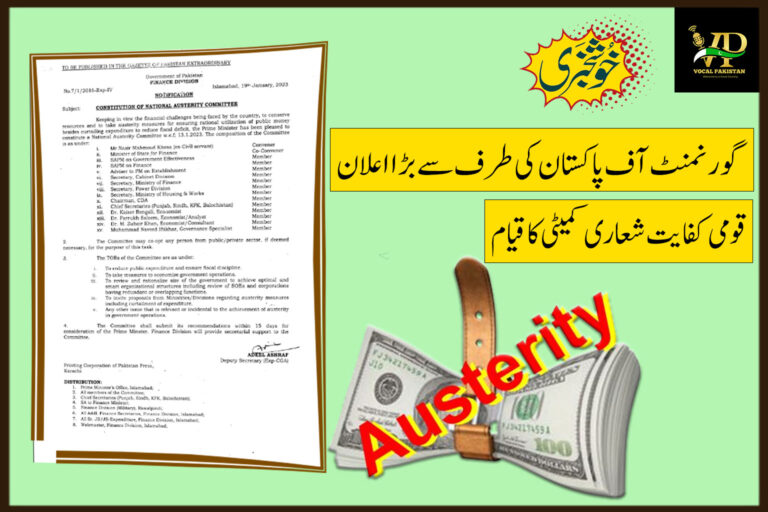 Constitution Of National Austerity Committee