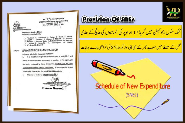 Government Of The Punjab Notification About Provision Of SNEs Notification