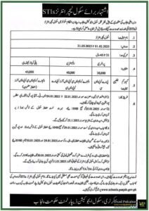 School Teacher Interns (STIs) Recruitment by Punjab Education Department